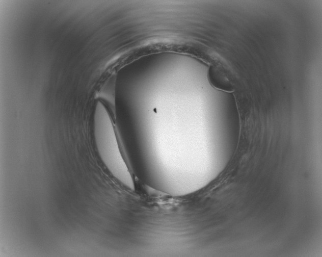 X0000063520822200602101949