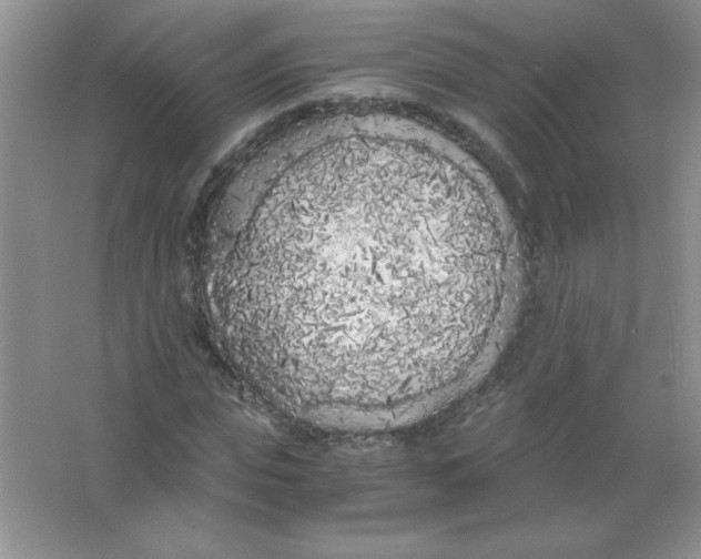 X0000063520823200602101949