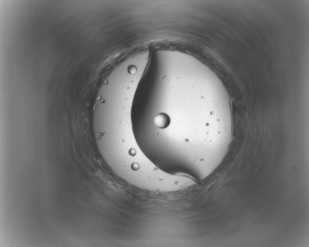 X0000063520824200602101949