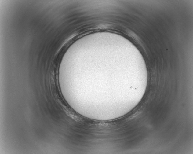 X0000063520827200602101949