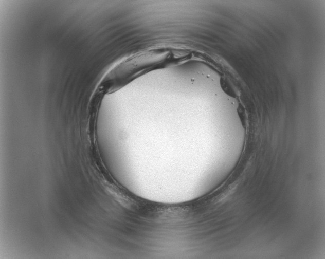 X0000063520830200602101949