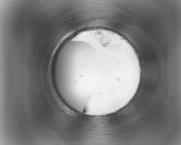 X0000063520832200602101949