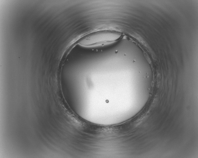 X0000063520834200602101949