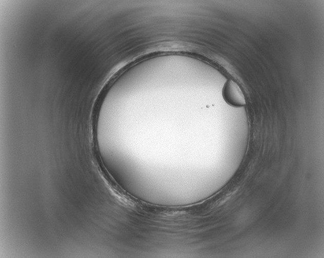 X0000063520837200602101949