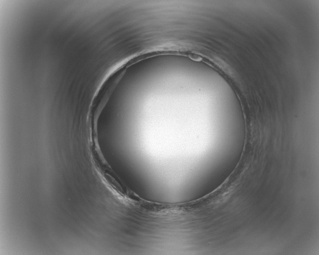 X0000063520838200602101949