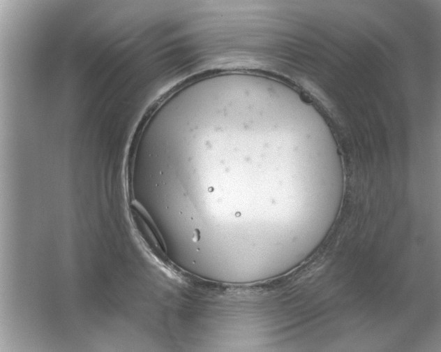 X0000063520840200602101949