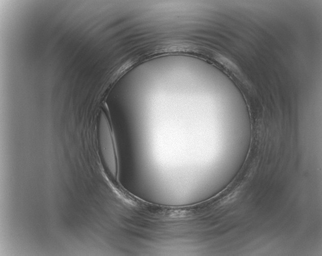 X0000063520841200602101949