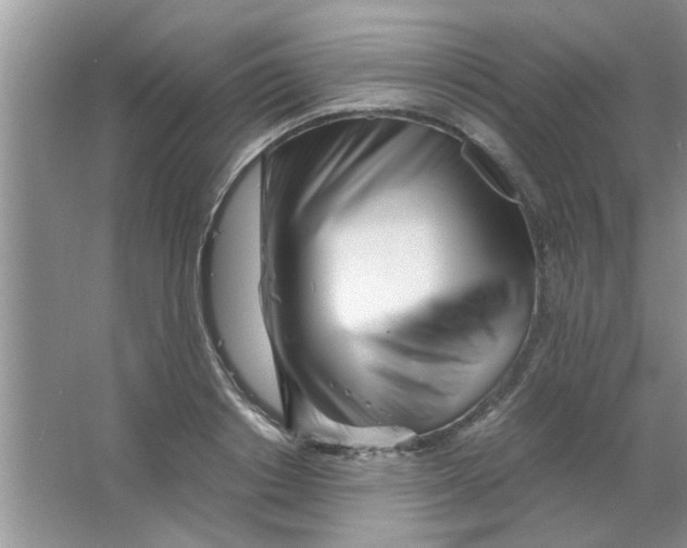 X0000063520842200602101949