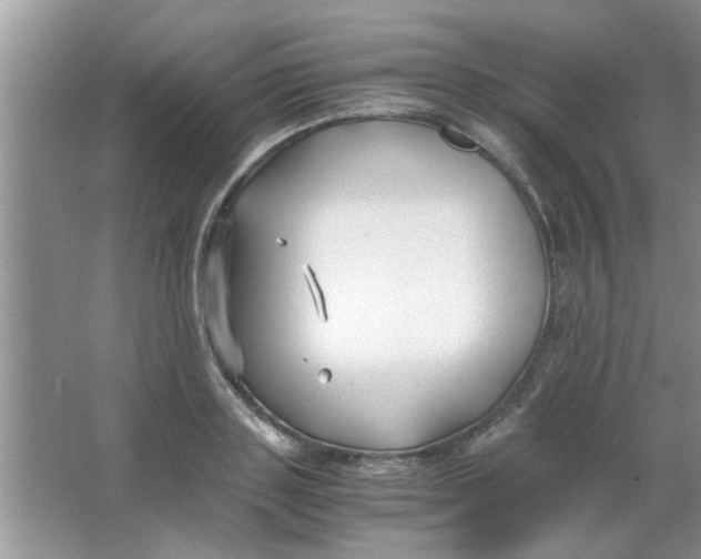 X0000063520843200602101949