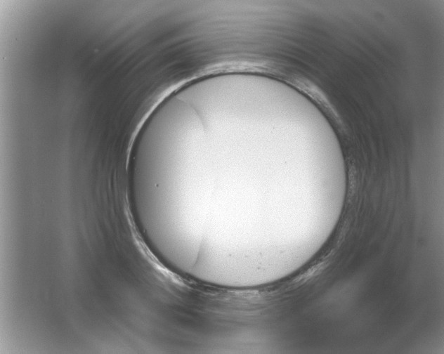 X0000063520844200602101949