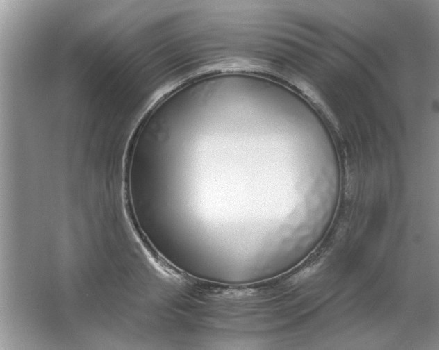 X0000063520845200602101949