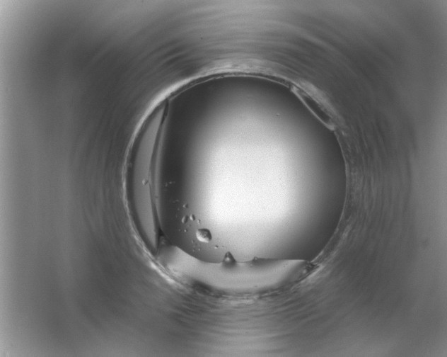 X0000063520846200602101949