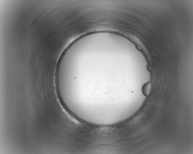 X0000063520847200602101949