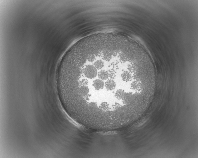 X0000063520851200602101949