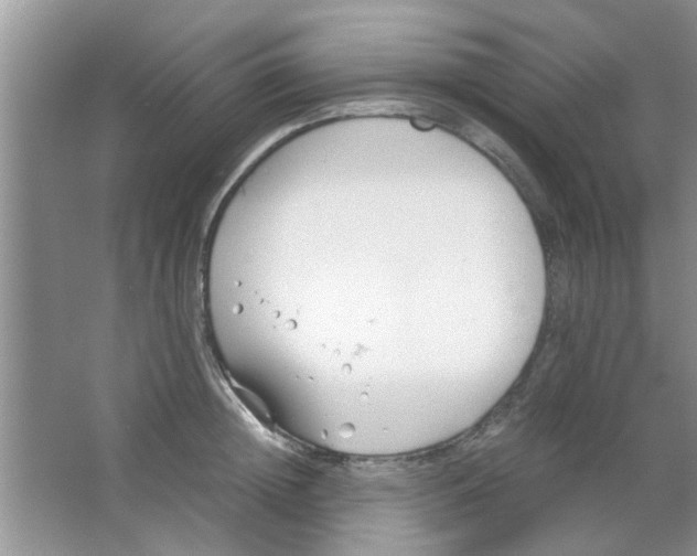 X0000063520852200602101949