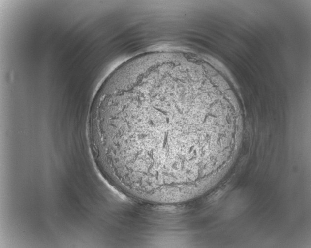 X0000063520855200602101949