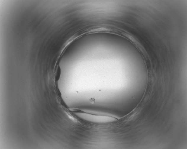 X0000063520858200602101950