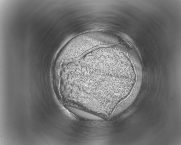 X0000063520859200602101950