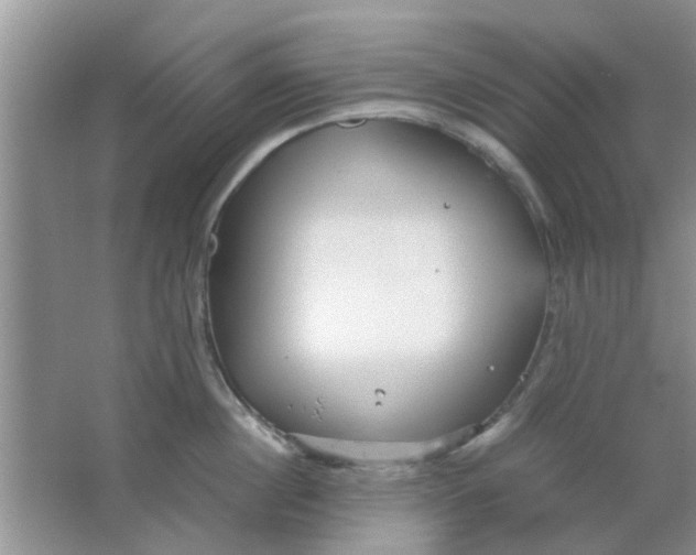 X0000063520860200602101950