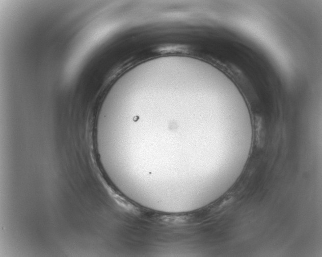 X0000063520861200602101950