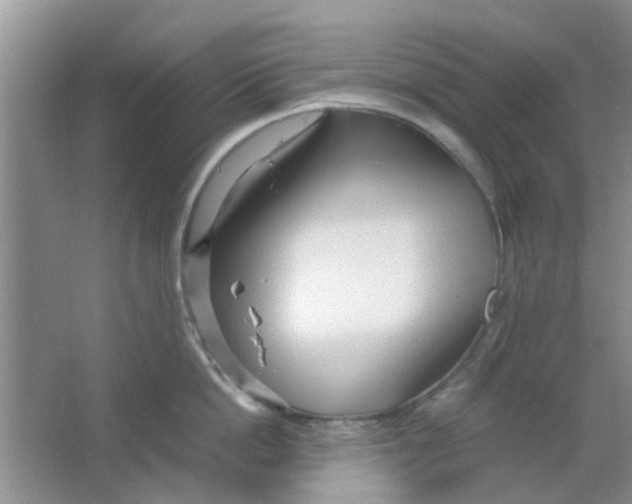 X0000063520862200602101950