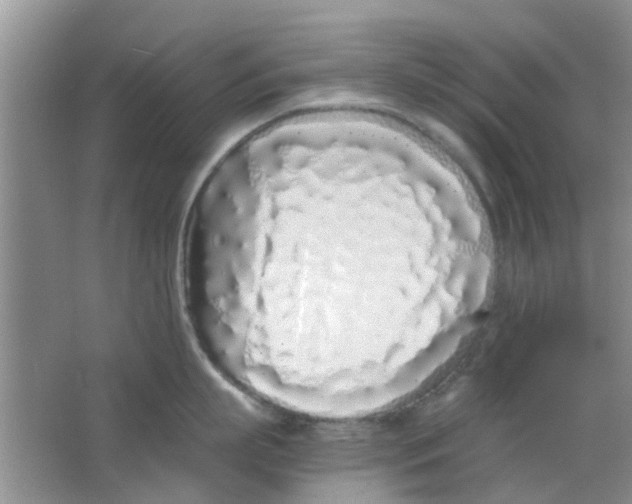 X0000063520863200602101950