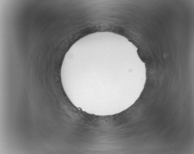 X0000063520865200602101949