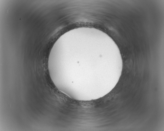 X0000063520870200602101949