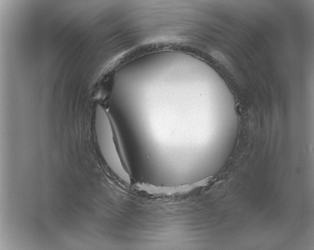 X0000063520872200602101949