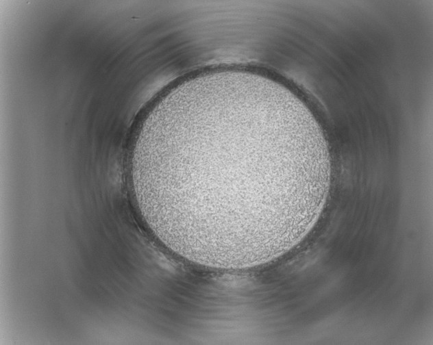 X0000063520874200602101949