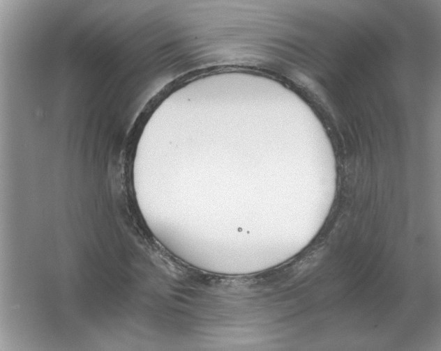 X0000063520875200602101949