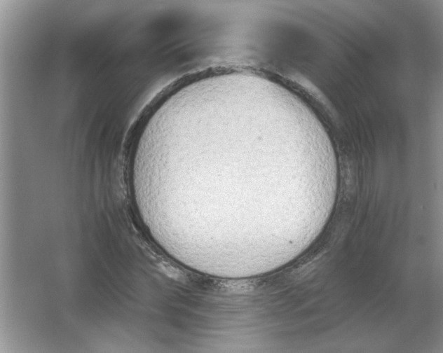 X0000063520878200602101949