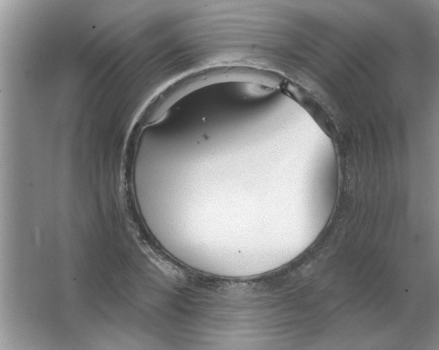 X0000063520880200602101949