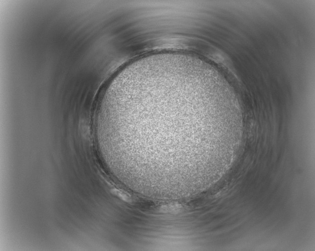 X0000063520882200602101949