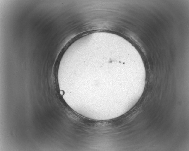 X0000063520883200602101948