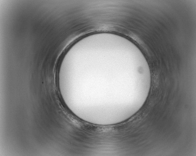 X0000063520886200602101948