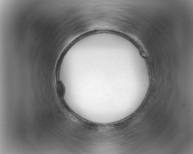 X0000063520887200602101948