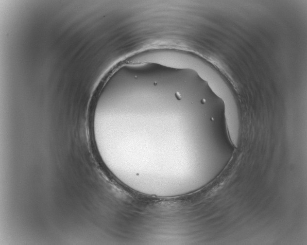 X0000063520888200602101948