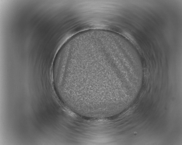 X0000063520891200602101948