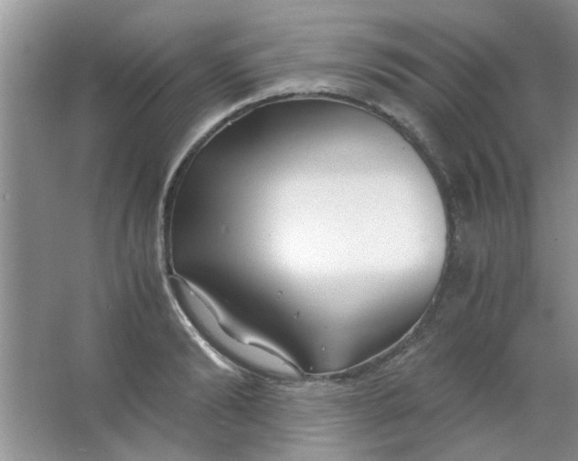 X0000063520894200602101948