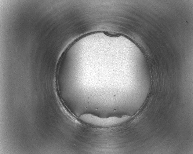 X0000063520896200602101948