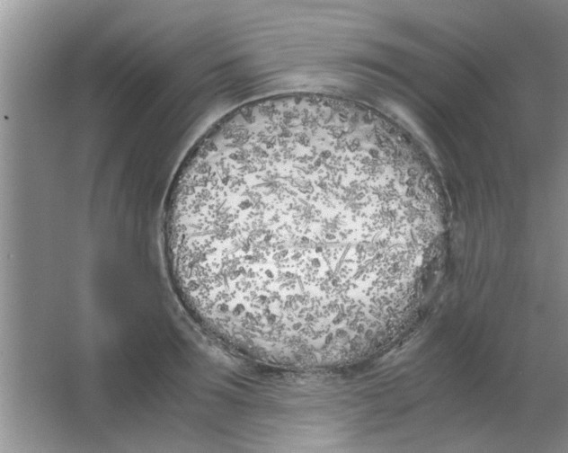 X0000063520899200602101948