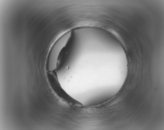 X0000063520901200602101948