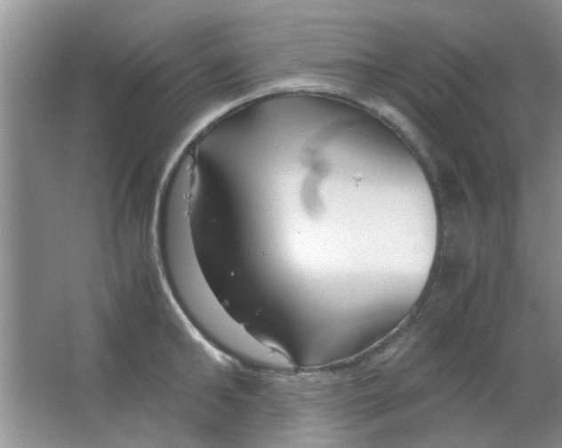 X0000063520902200602101948