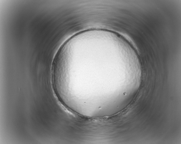 X0000063520903200602101948