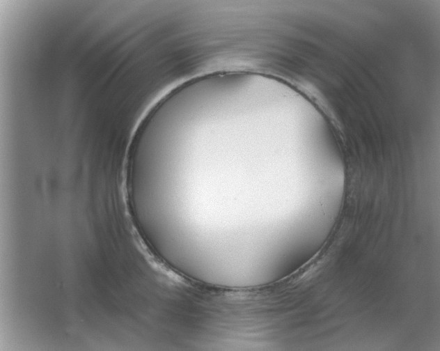 X0000063520904200602101948