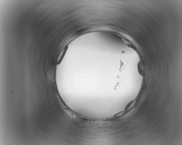 X0000063520905200602101948