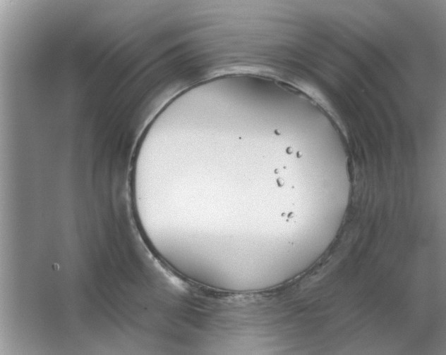 X0000063520906200602101948