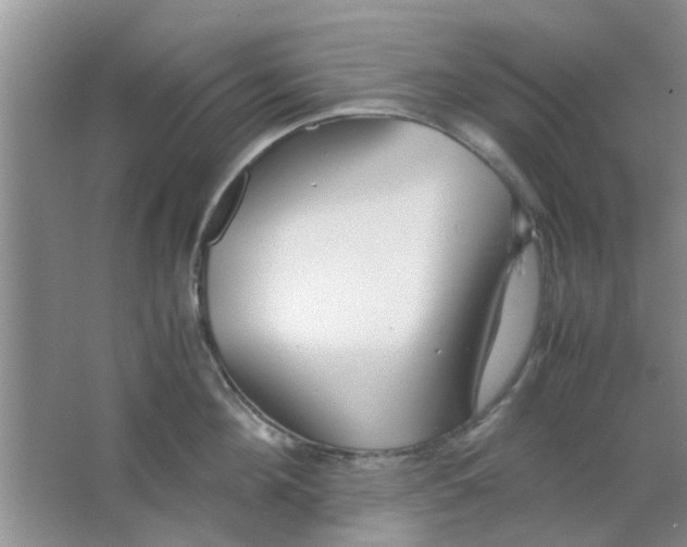 X0000063520908200602101948