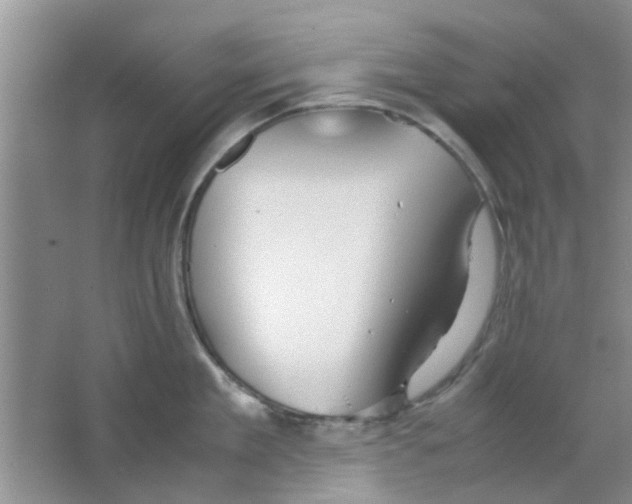 X0000063520909200602101948